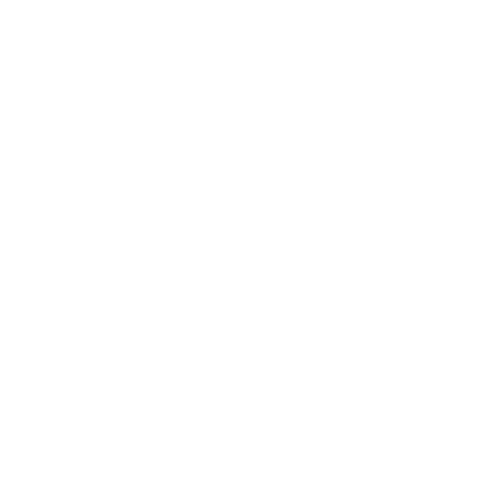bird - white